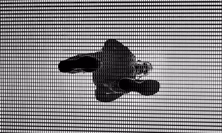 Allan Schaller, tal como somos en blanco y negro