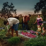 Morfi Jiménez: La gran comedia de la vida